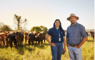 Diante de eventos climáticos extremos, seguro rural ganha protagonismo na gestão de risco no campo